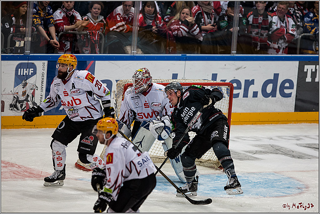 Koelner Haie - Pinguins Bremerhaven, 25.10.2016